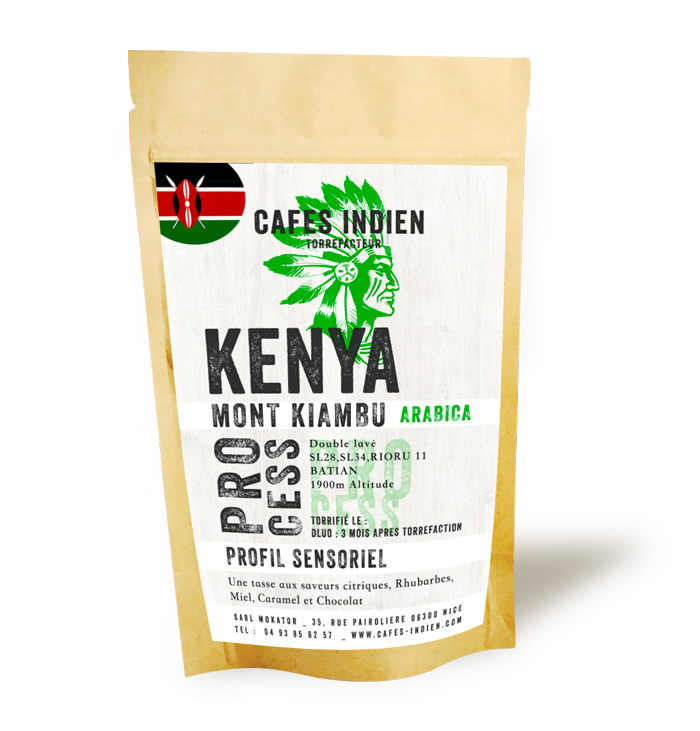 KENYA-MONT-KIAMBU-CAFES-INDIEN